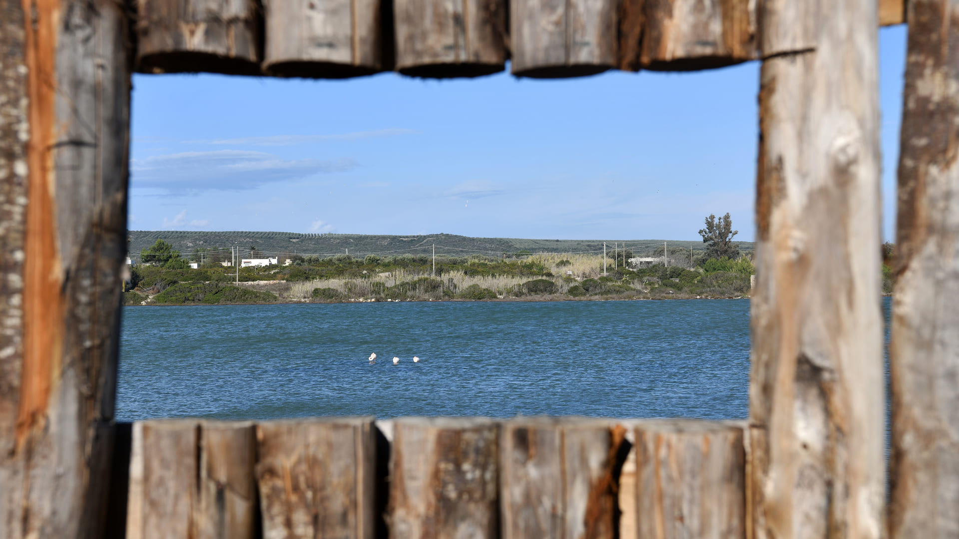 Riserva Naturale Salina dei Monaci
